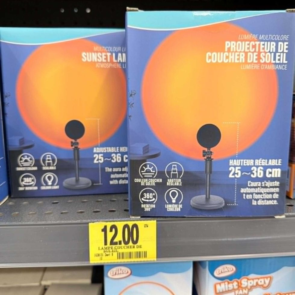 \u200bProjecteur de coucher de soleil en vente au Tigre G\u00e9ant pour 12 $.