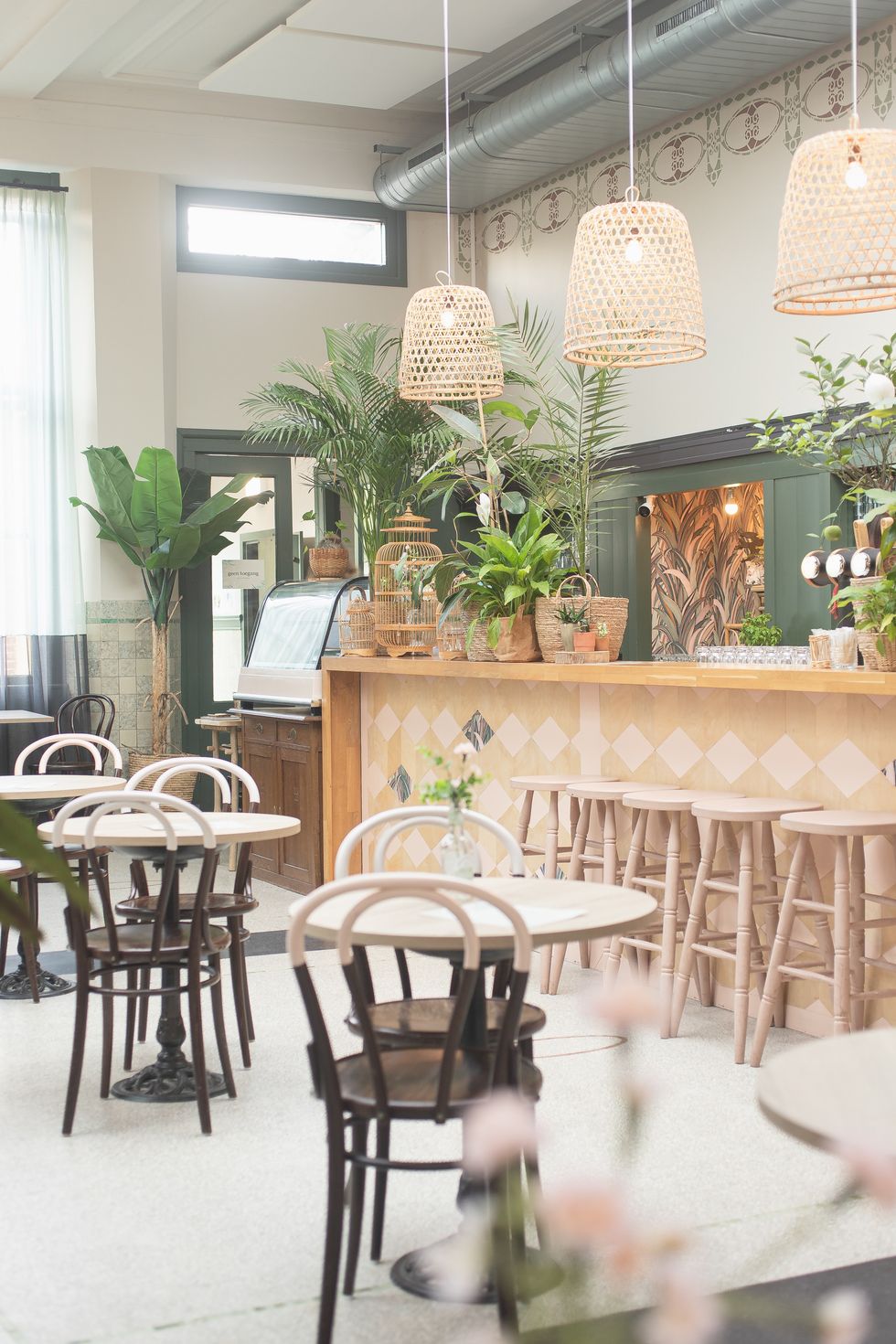 \u200bRestaurant avec plante.