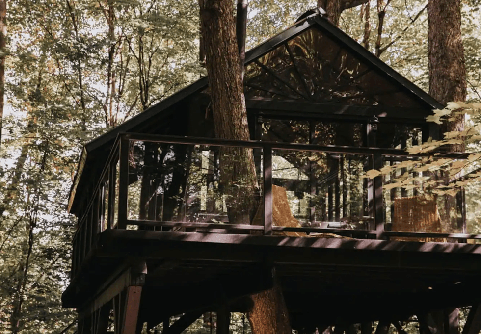 \u200bSafari dans les arbres \u00e0 Tingwick.