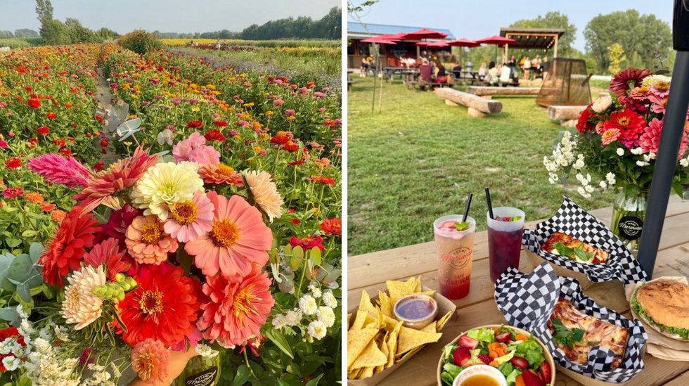 Un bouquet de fleurs dans un champ. Droite : des la nourriture sur une table de pique-nique.