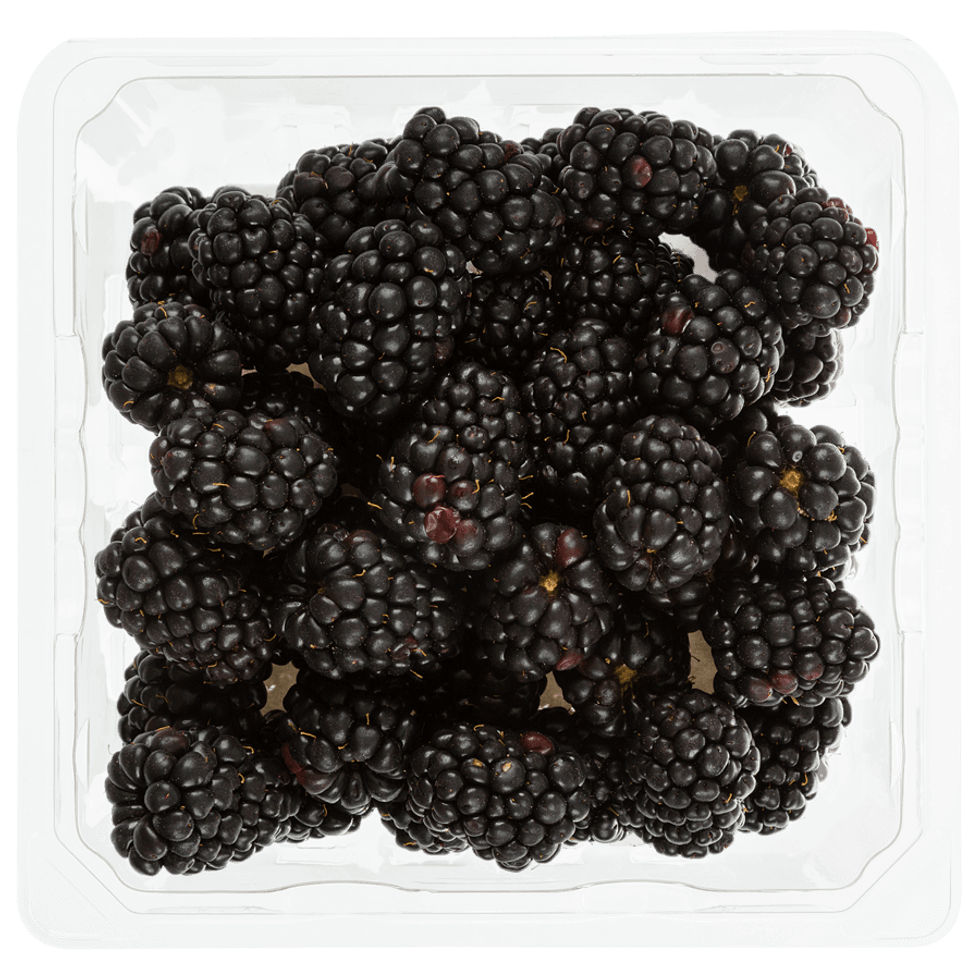 Un casseau de m\u00fbres sur le site du Maxi.