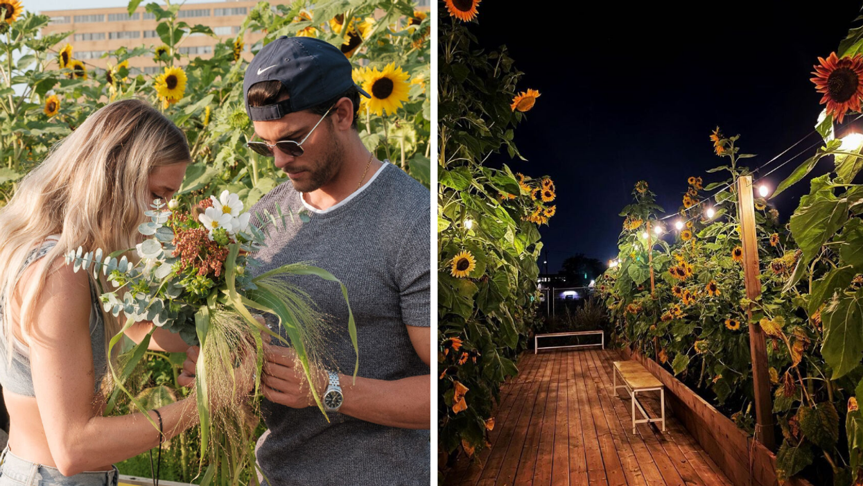 Un duo avec un bouquet de fleur à la Prairie Louvain. Droite : La Prairie Louvain.