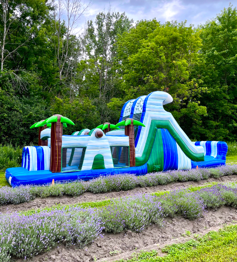 Un jeu gonflable dans un champ de lavande.