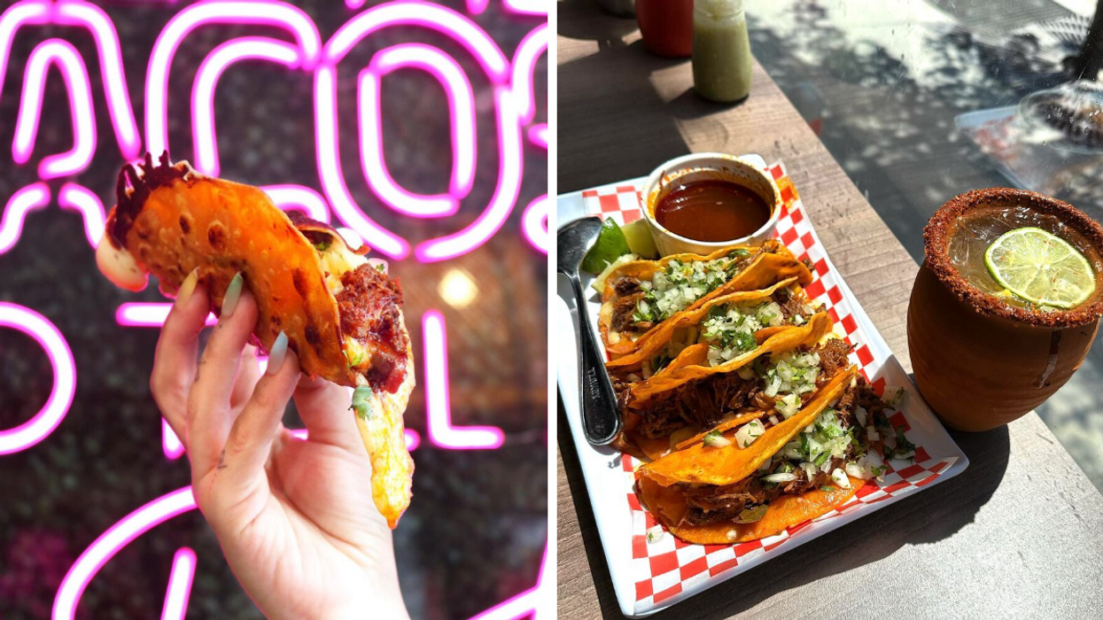 Un tacos du restaurant La Toxica à Montréal. Droite : Un plat de tacos et un cocktail du restaurant La Toxica à Montréal.