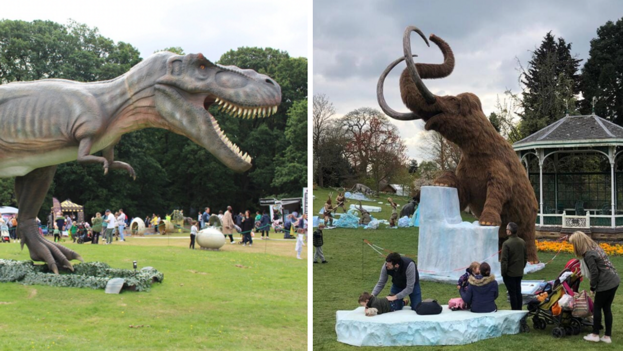 Un tyrannosaure. Droite : Un mammouth.