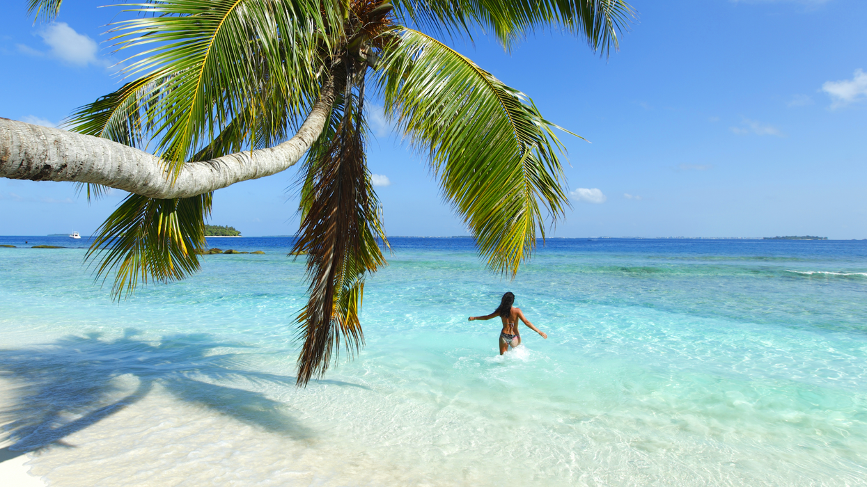 Une femme plonge dans une mer turquoise devant un palmier.