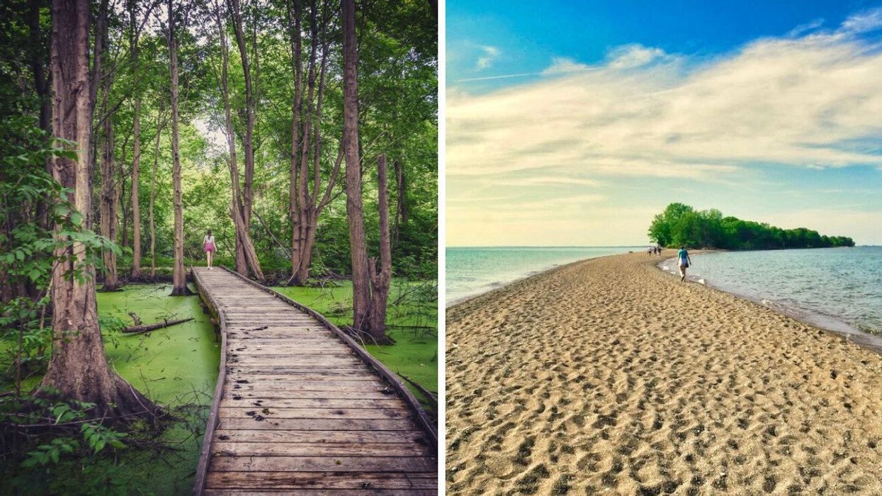 Une passerelle à travers un marais en Ontario. À droite : une plage de sable.