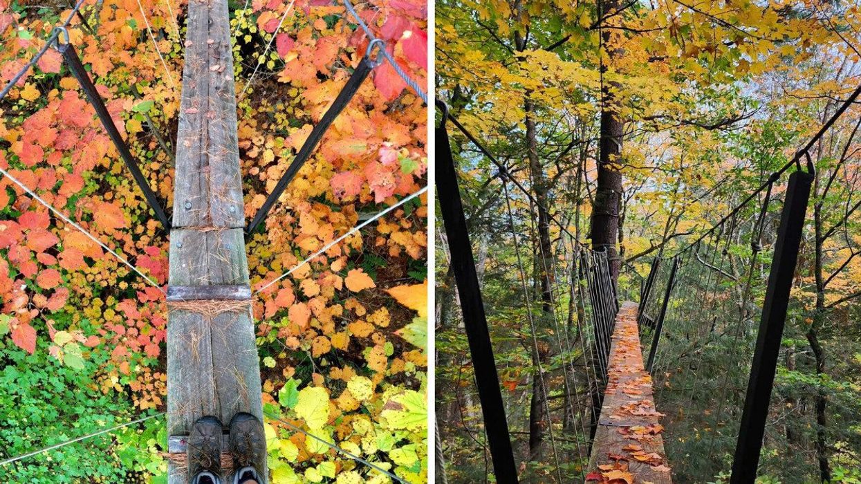 Une passerelle suspendue en forêt. Droite : Le Haliburton Forest Canopy Tour.