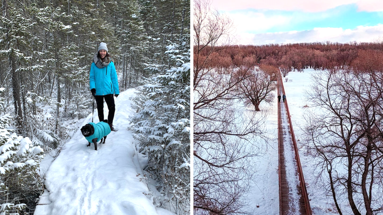 Une personne avec son chien au Parc écoforestier de Johnville. Droite : La passerelle du Parc écomaritime de l'Anse-du-Port vue de haut en hiver.