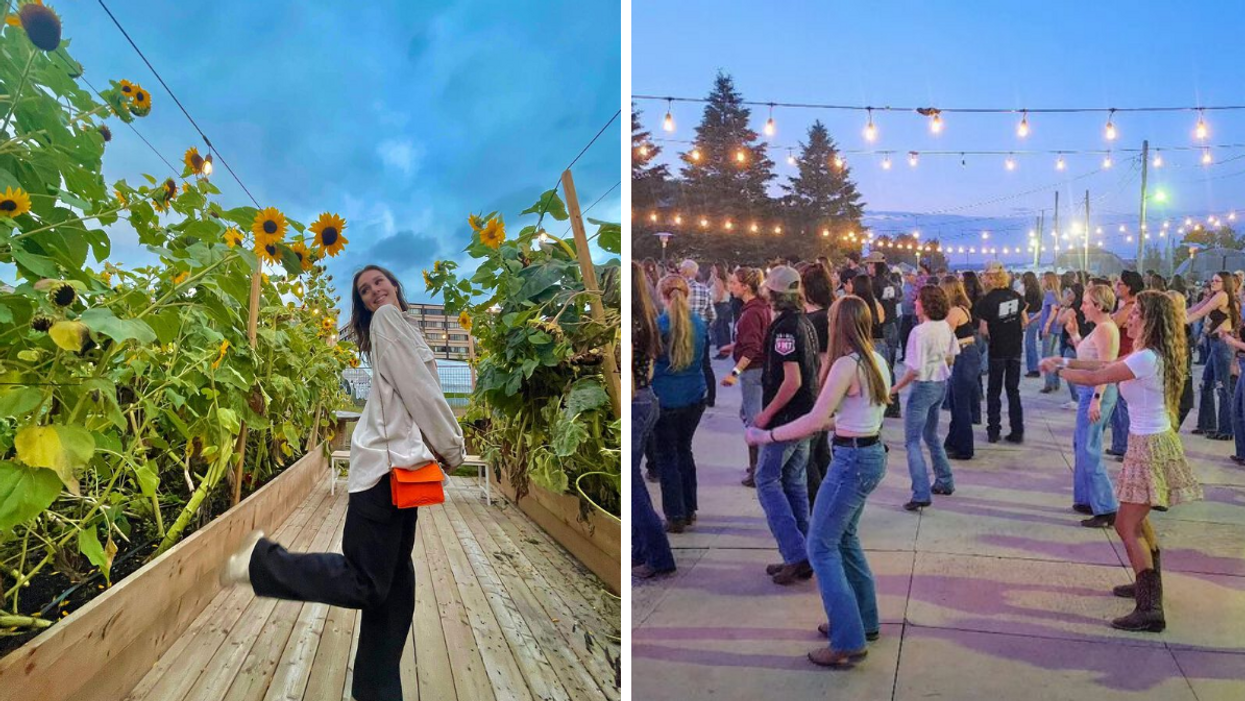 Une personne entre les tournesols à La Prairie Louvain. Droite : Un groupe faisant de la danse en ligne avec la troupe Winslow Dancers.