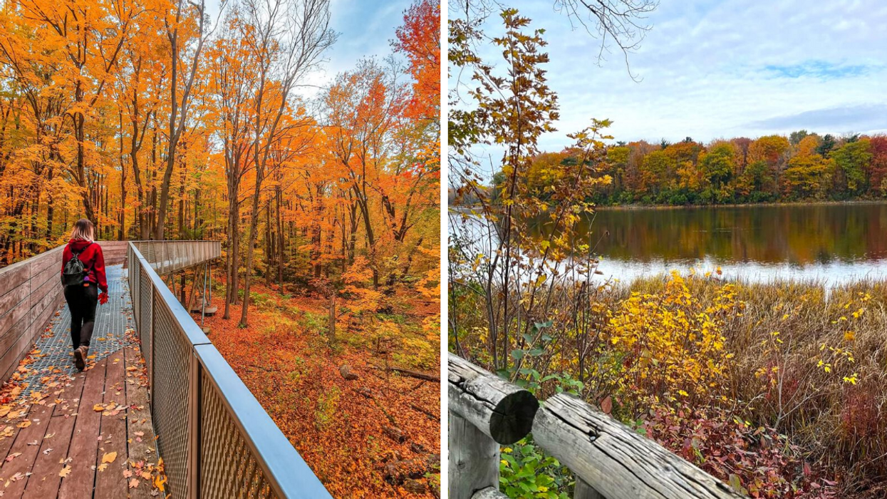 Une personne qui marche sur une passerelle dans un parc de Montréal. Droite : Un parc au bord de l'eau à Montréal.