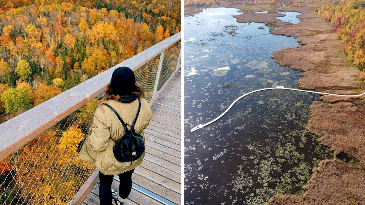 Une personne sur une passerelle. Droite : Le parc d'Oka.