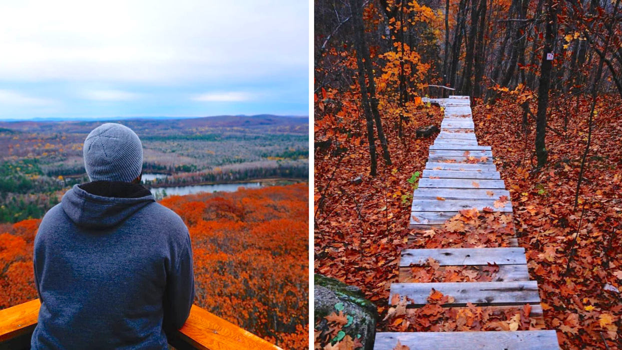 Une personne sur une tour. Droite : des escaliers en forêt.