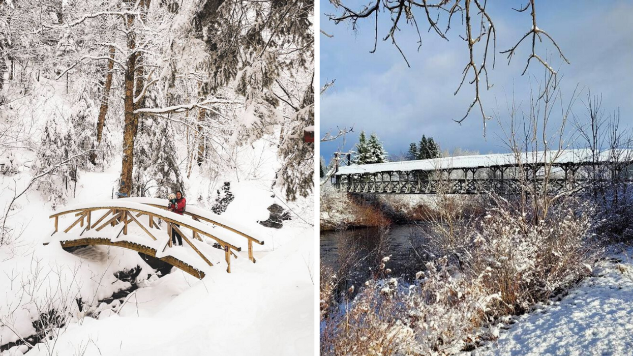 Une personne tenant un chien sur une passerelle du Parc des Appalaches. Droite : L'un des ponts du Parc des Appalaches