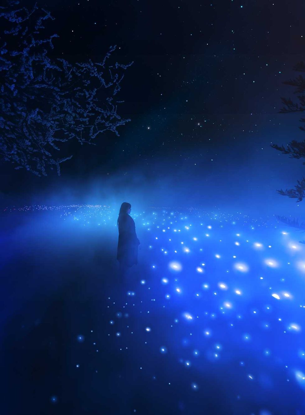 Une personne visitant les projections lumineuses dans le cimeti\u00e8re Notre-Dame-des-Neiges.