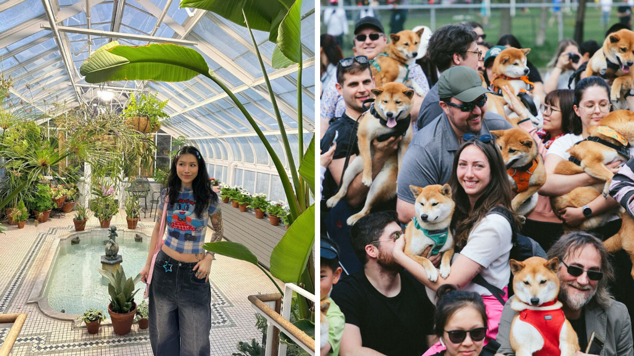 Une personnes aux serres du Conservatoire de Westmount. Droite : Le rassemblement de chiens de la Semaine du Japon.