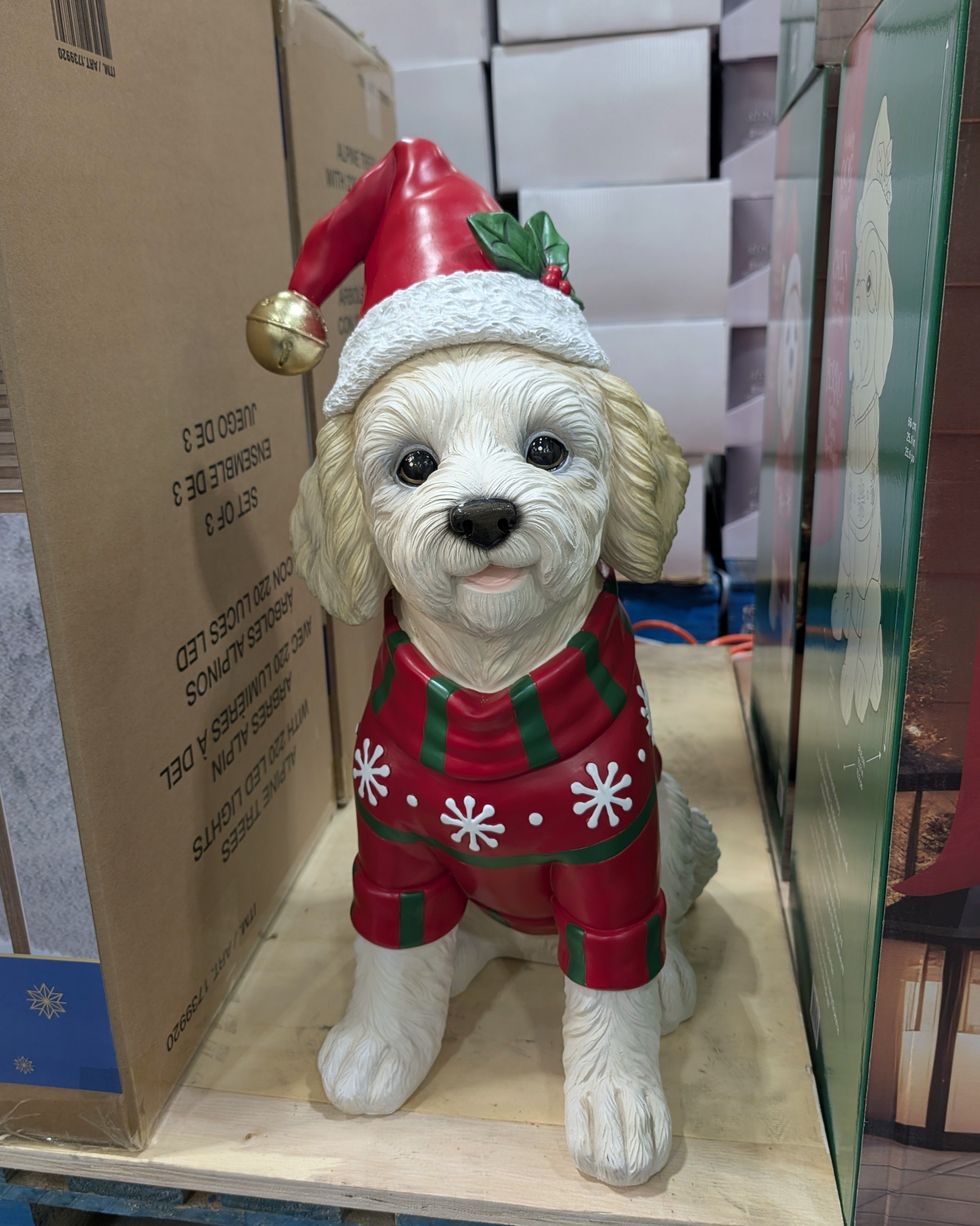 Une statue de chien v\u00eatu de v\u00eatements de No\u00ebl vendue dans le rayon des articles saisonniers chez Costco.