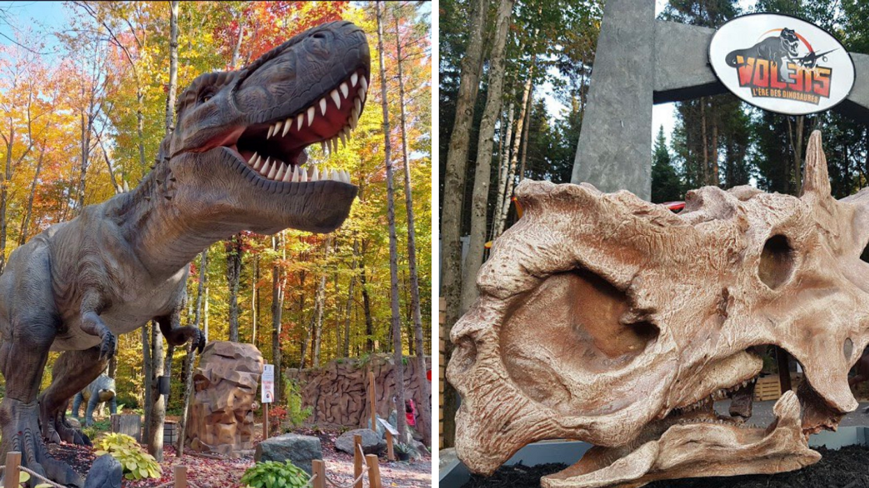 Woodooliparc.